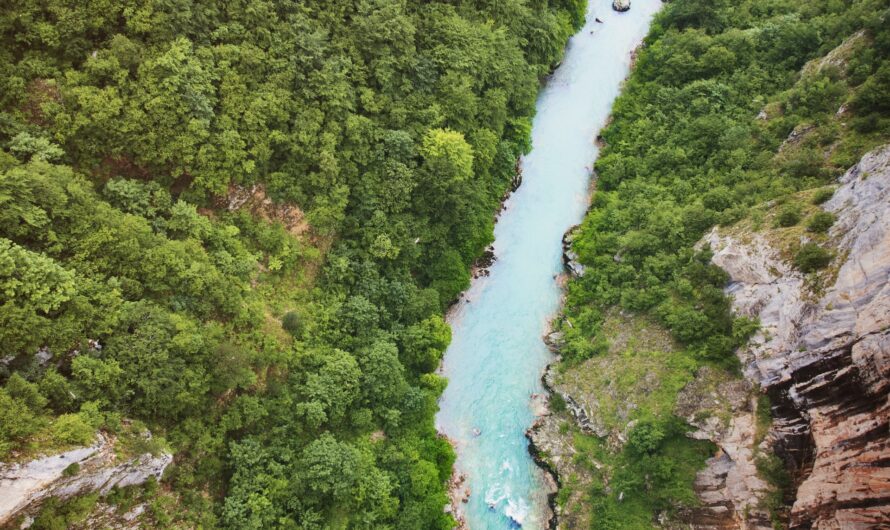 Rafting the Tara River: Montenegro’s Wild Adventure