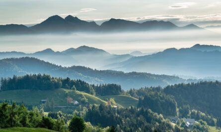 image source Photo by Krivec Ales: https://www.pexels.com/photo/mountainous-valley-with-evergreen-forest-against-misty-sky-580151/